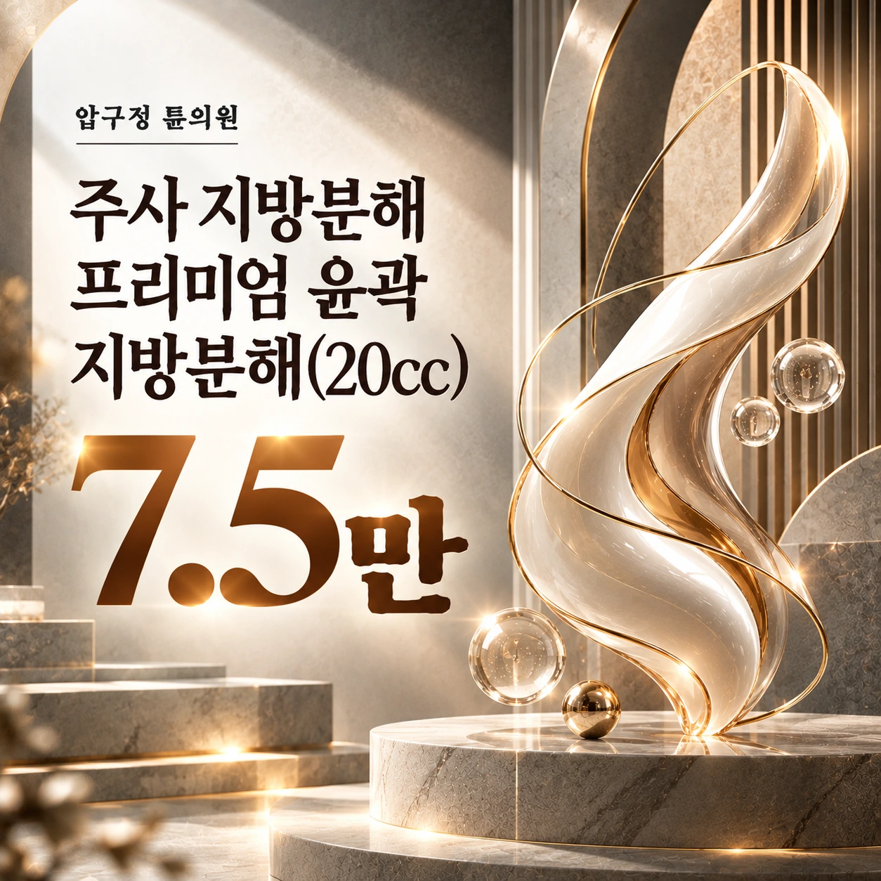 주사 지방분해 프리미엄 윤곽 지방분해(20cc)
