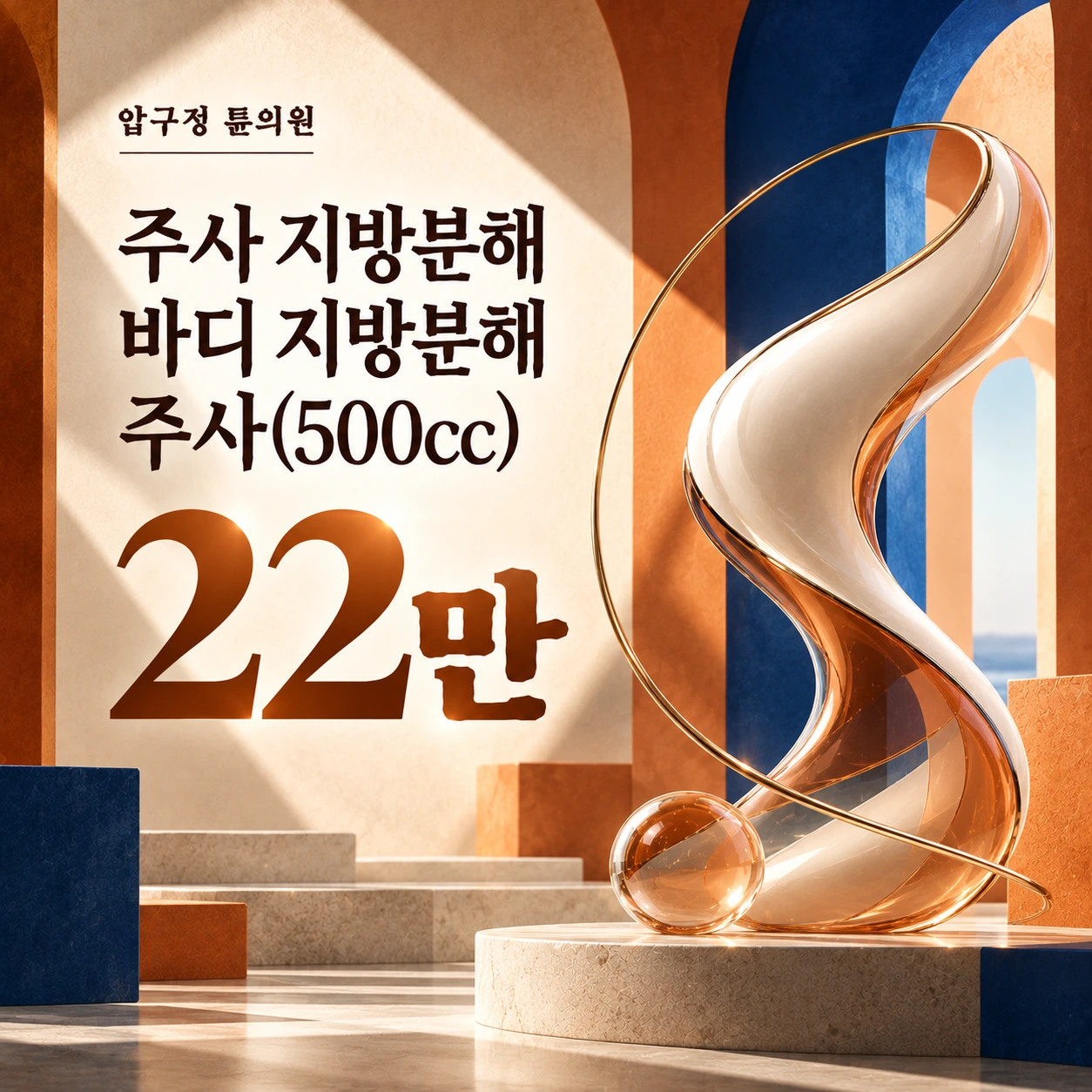 주사 지방분해 바디 지방분해 주사(500cc)