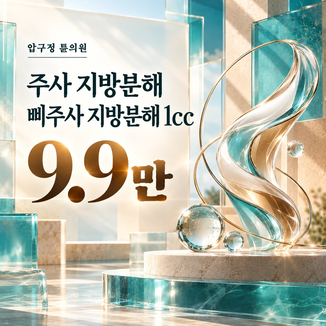주사 지방분해 삐주사 지방분해 1cc
