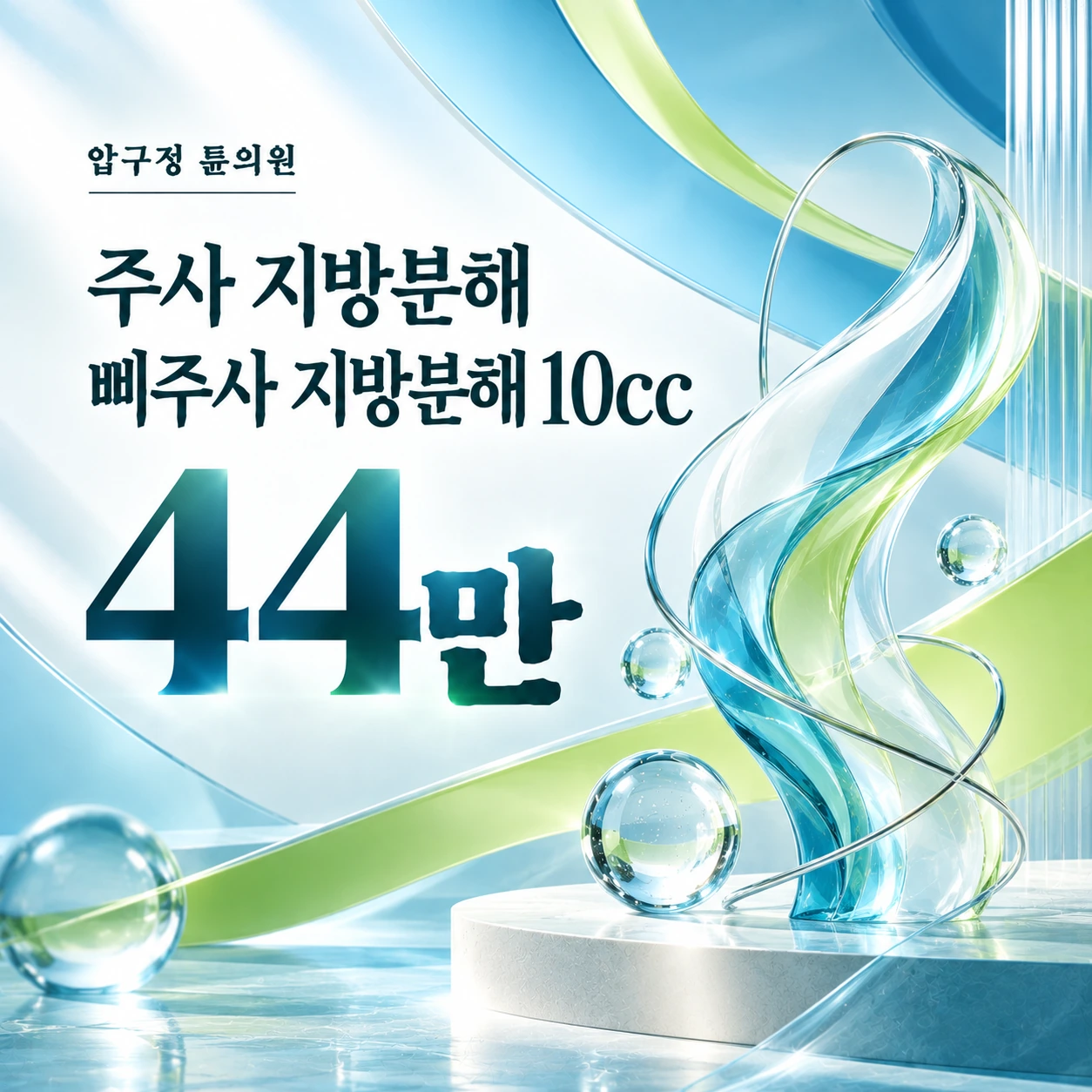 주사 지방분해 삐주사 지방분해 10cc