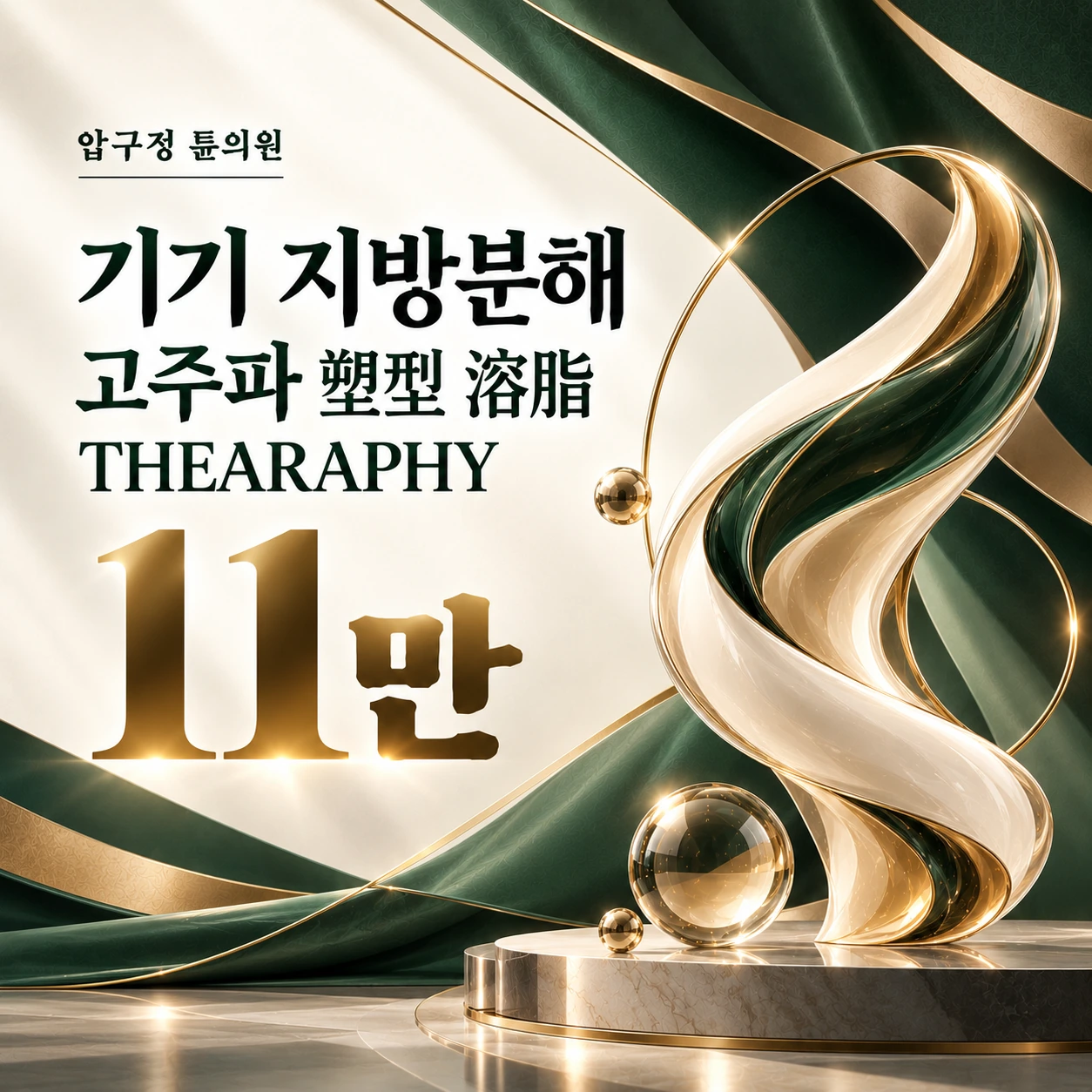 기기 지방분해 고주파 塑型 溶脂 THEARAPHY