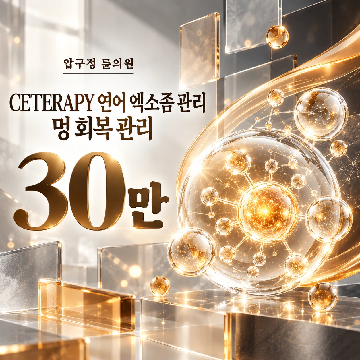 CETERAPY 연어 엑소좀 관리 멍 회복 관리