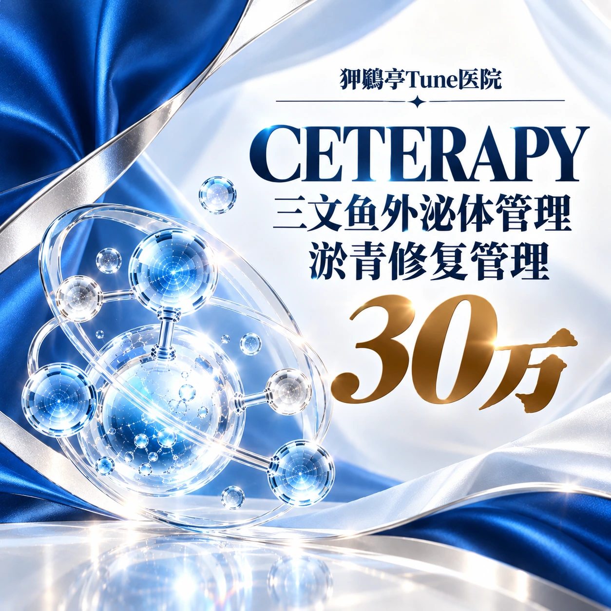 CETERAPY 三文鱼外泌体管理 淤青修复管理