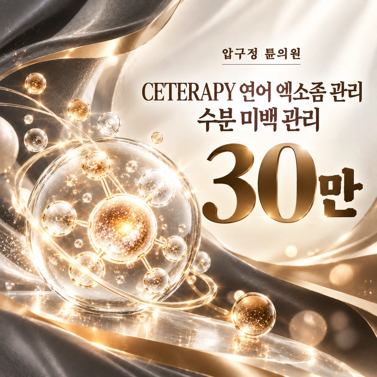 CETERAPY 연어 엑소좀 관리 수분 미백 관리