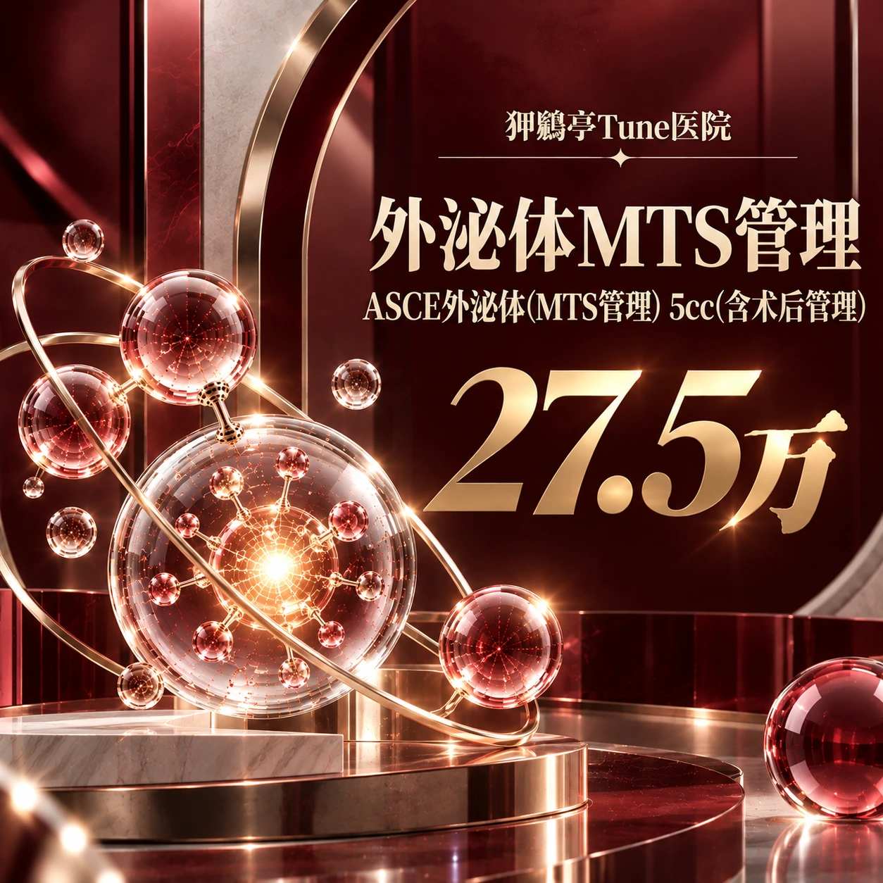 外泌体MTS管理 ASCE外泌体(MTS管理) 5cc(含术后管理)