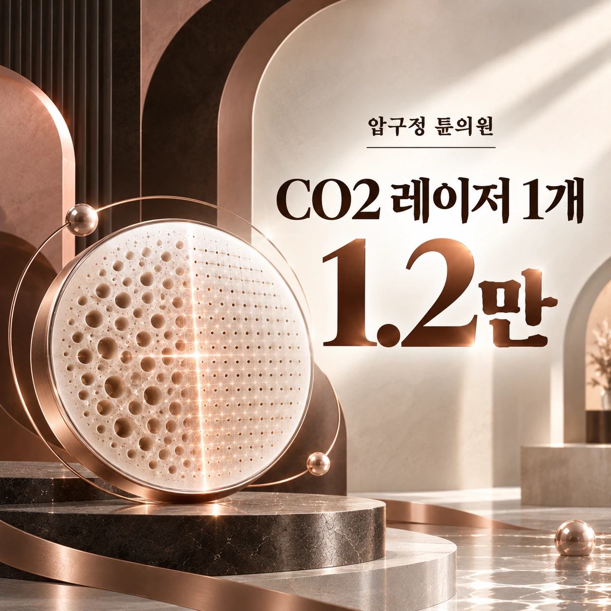 CO2 레이저 1개