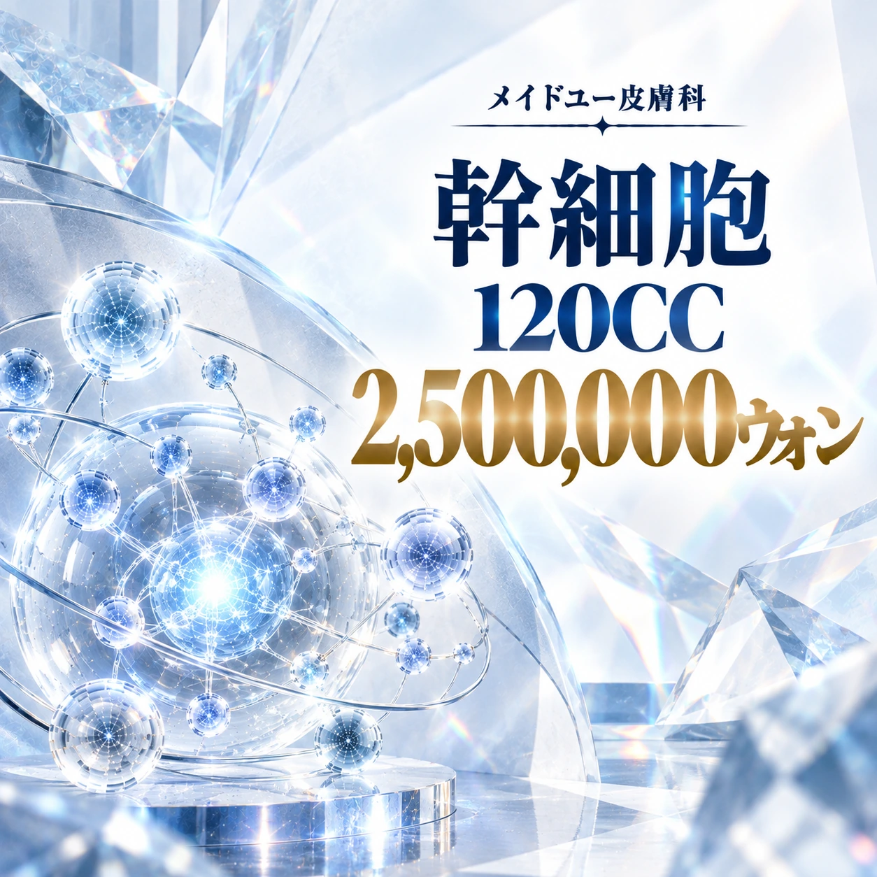幹細胞 120CC