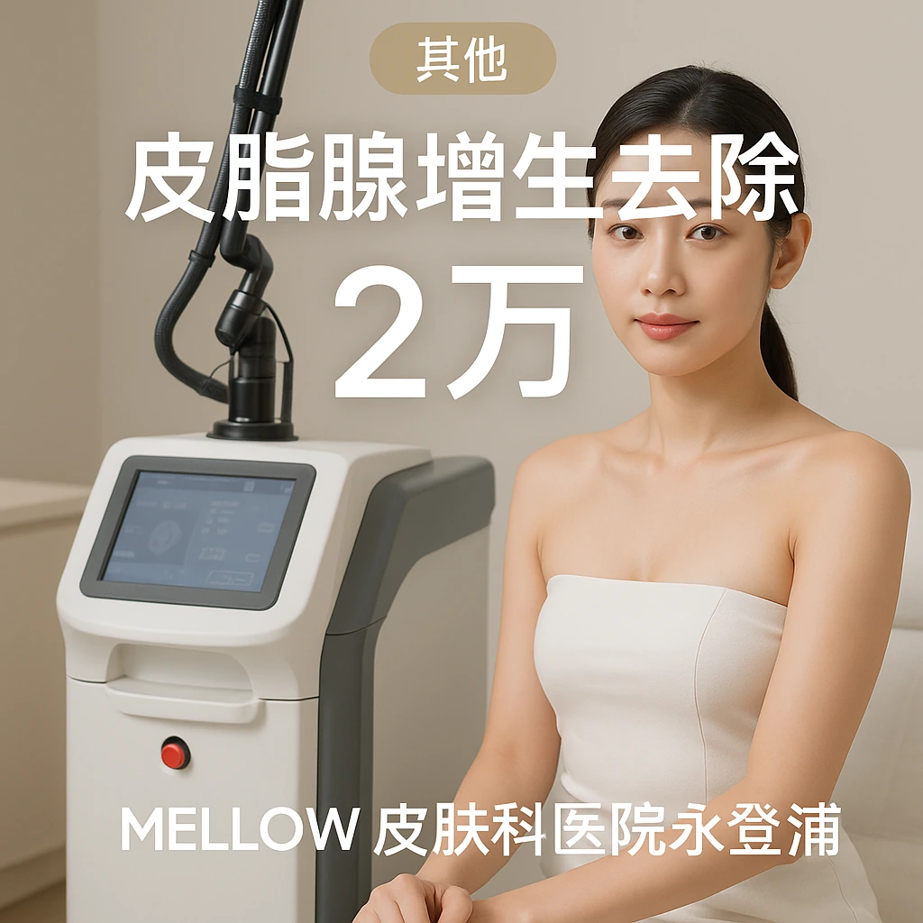 皮脂腺增生去除