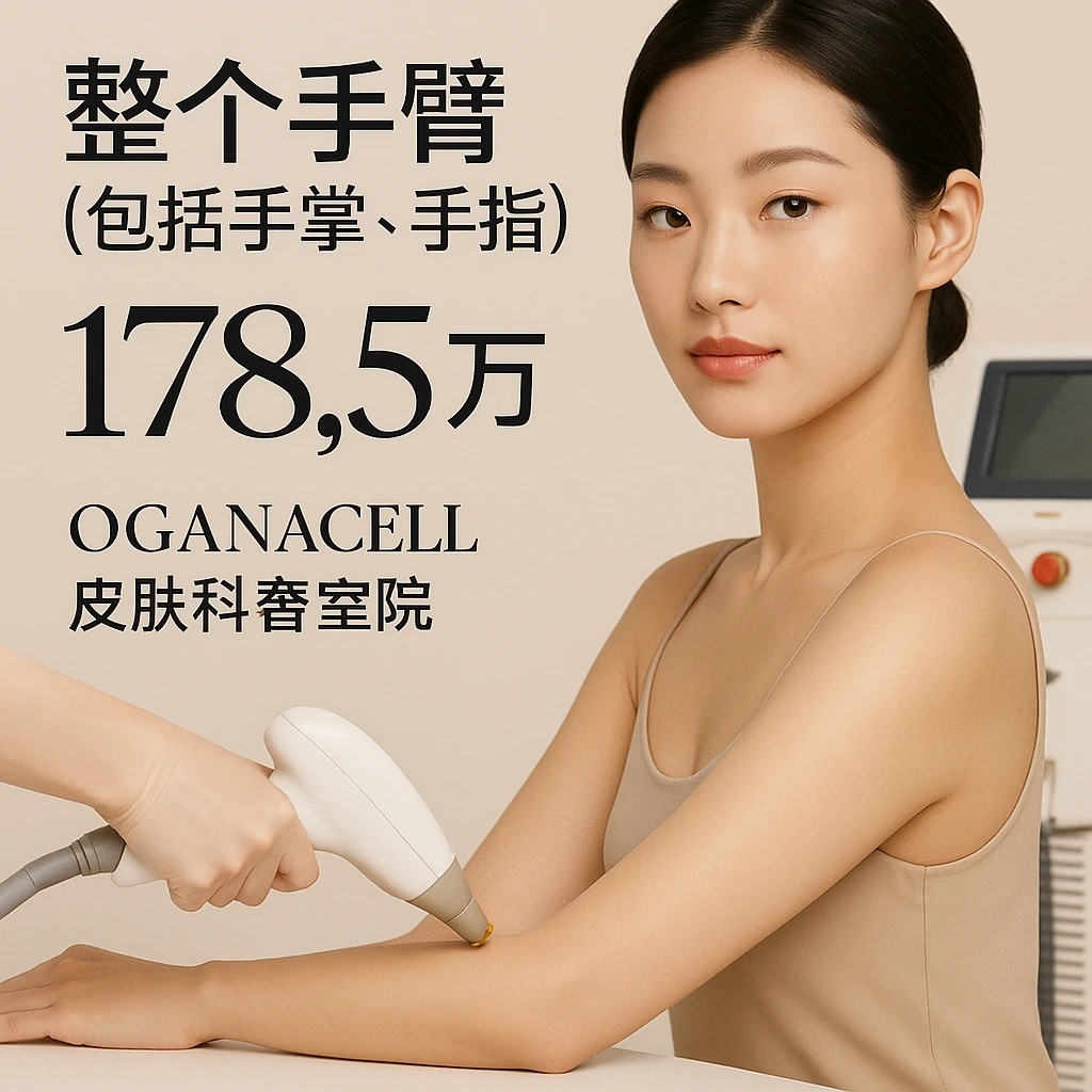 整个手臂(包括手掌、手指)