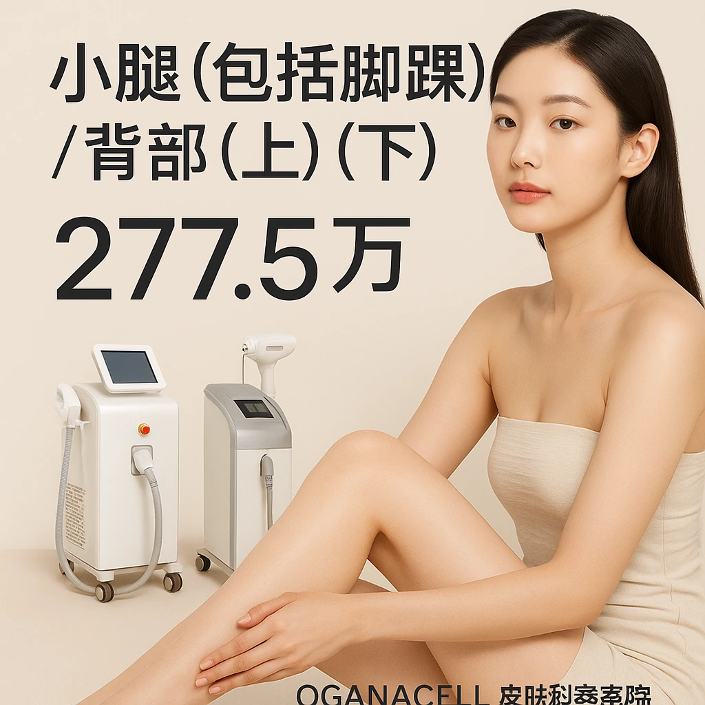 小腿(包括脚踝)/背部(上)/(下)